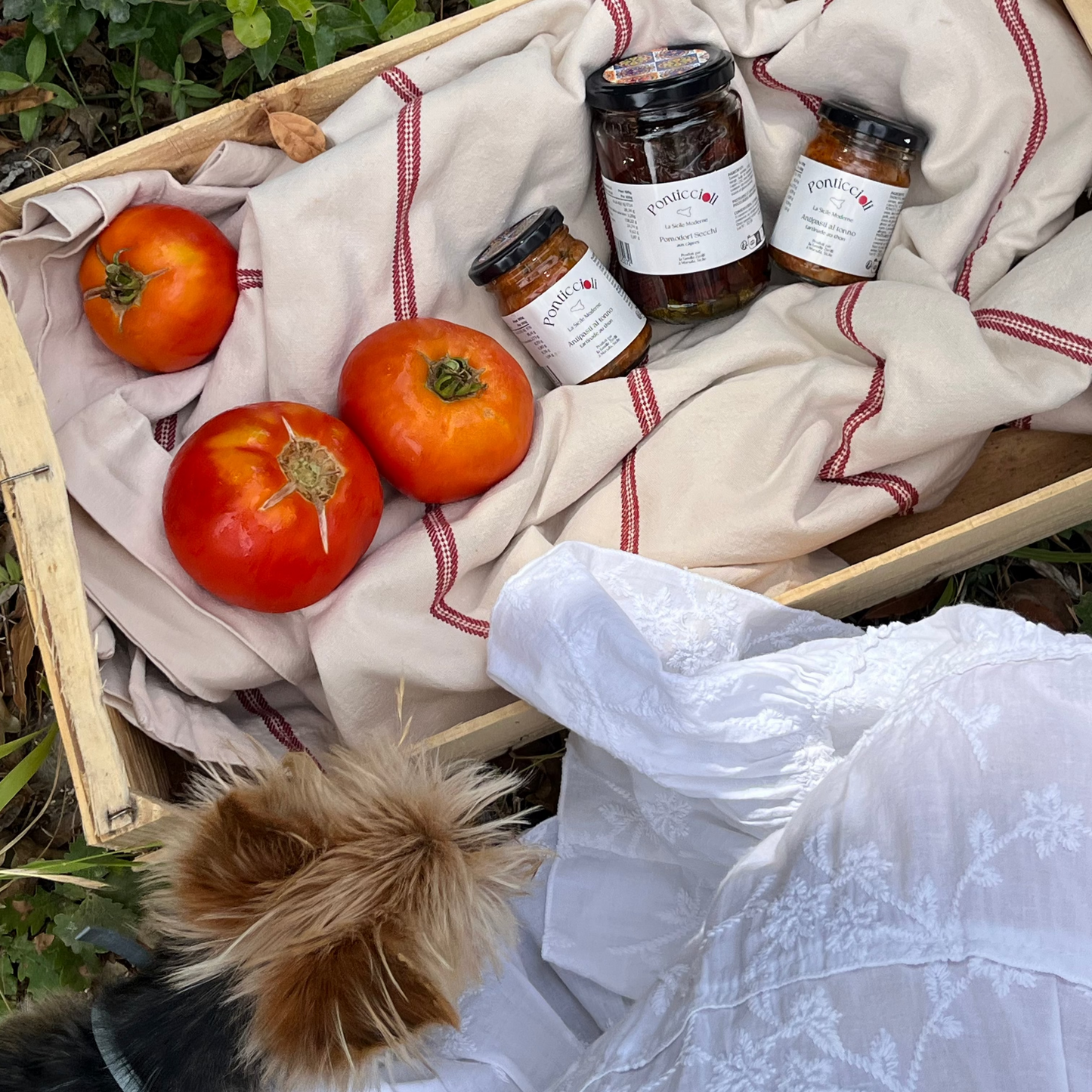 Panier Apéro